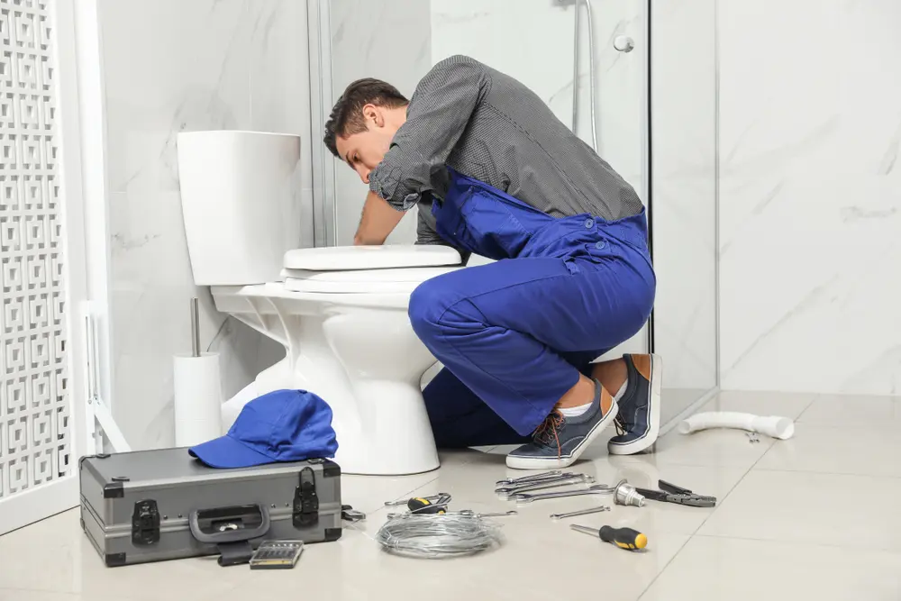 Toilet Installation in Rosemount